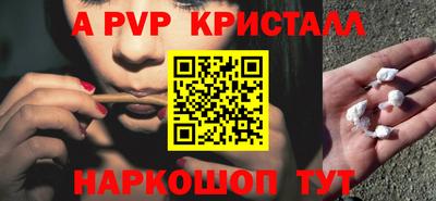 МДПВ Кингисепп