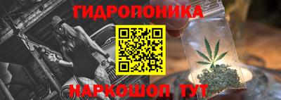 МДПВ Кингисепп