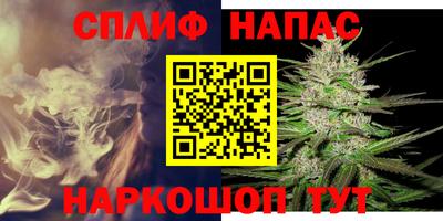 МДПВ Кингисепп