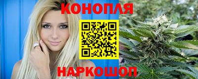 МДПВ Кингисепп