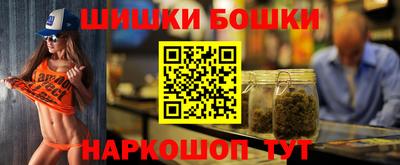 МДПВ Кингисепп