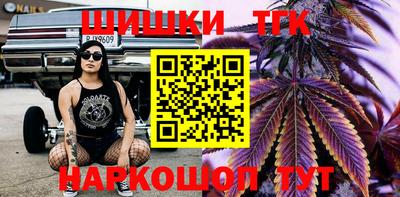 МДПВ Кингисепп