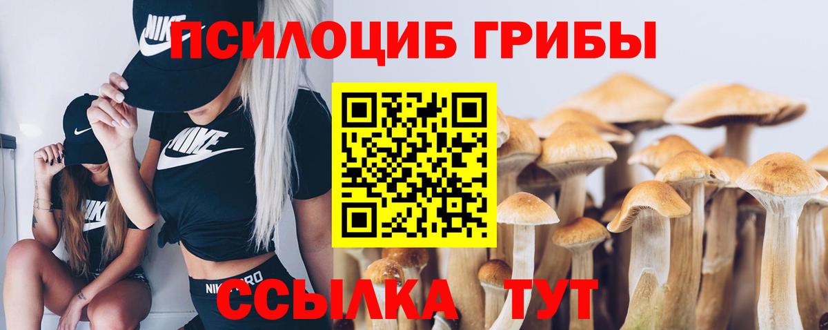 Галлюциногенные грибы мицелий  наркошоп  Красноуфимск  Вход с VPN  Псилоцибиновые грибы мухоморы 